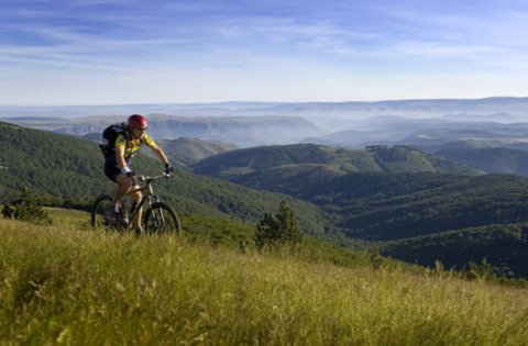 Ein Radfahrer fährt Mountainbike mit Blick auf grüne Hügel bei Flower Camping Le Pont du Tarn in Occitanie, Frankreich.