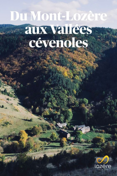 Aerial view of rustic houses and green valleys near Flower Camping Le Pont du Tarn, Occitanie, France.