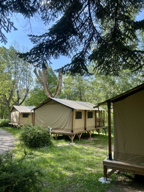 Safari-Zelte der Kenya Lodge in einem grünen Wald, umgeben von Bäumen und sonnigem Himmel.