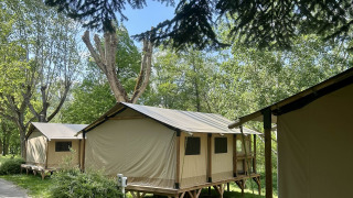 Kenya Lodge safari tenten in een groen bos, gezien vanaf onder boomtakken met zonlicht erboven.