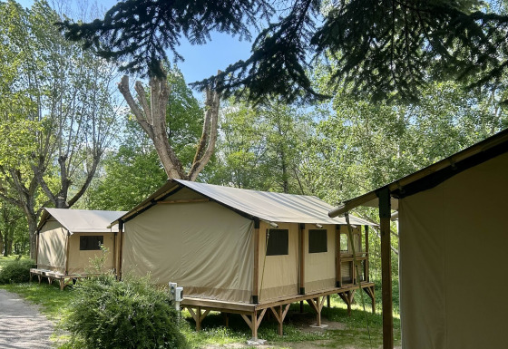 Safari-Zelte der Kenya Lodge in einem grünen Wald, umgeben von Bäumen und sonnigem Himmel.