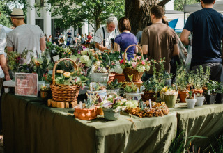 Mercado al aire libre animado donde la gente compra plantas y flores bajo grandes árboles frondosos.