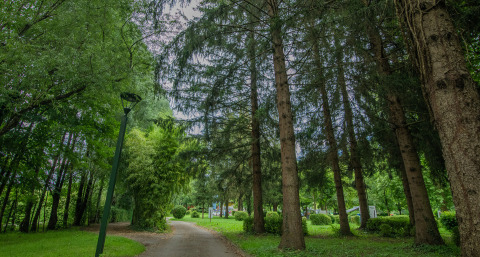 Waldweg mit Straßenlaterne im Onlycamp Camping de Besançon, Bourgogne-Franche-Comté, Frankreich.
