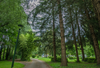 Schaduwrijke wandelweg bij Onlycamp Camping de Besançon, Bourgogne-Franche-Comté, Frankrijk.