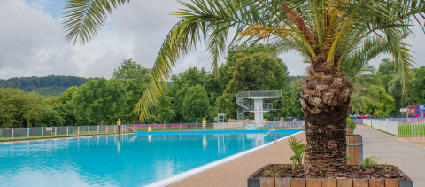 Udendørs swimmingpool med palme og udsigt til grønne træer på Onlycamp Camping de Besançon i Frankrig.