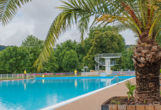 Buitenzwembad met palmboom bij Onlycamp Camping de Besançon in Bourgogne-Franche-Comté, Frankrijk.