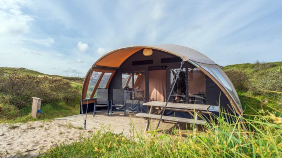 zelt les tentes Zelt, Cuvée 2017 – Zeltkeder Size:M (55-59 cm) Ktm Avenza, Gebrauchte Damenfahrräder