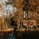 La tienda safari Glamphuys Ultra Wellness se ubica entre árboles junto a un lago tranquilo en plena naturaleza.