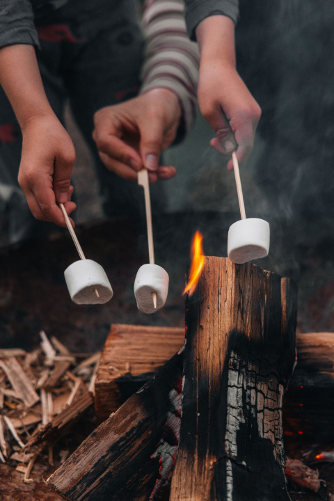 Kinderen roosteren marshmallows boven kampvuur bij Glamphuys Ultra safaritent, landgoed Ruysbos, Nederland.