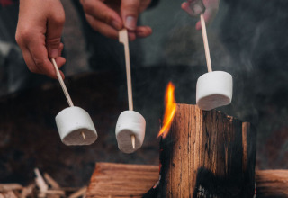 Kinderen roosteren marshmallows boven kampvuur bij Glamphuys Ultra safaritent, landgoed Ruysbos, Nederland.