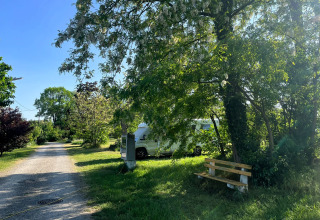 Camping Vauban i Grand Est, Frankrig: Skovbevokset område med grusvej, bænk og autocamper i baggrunden.