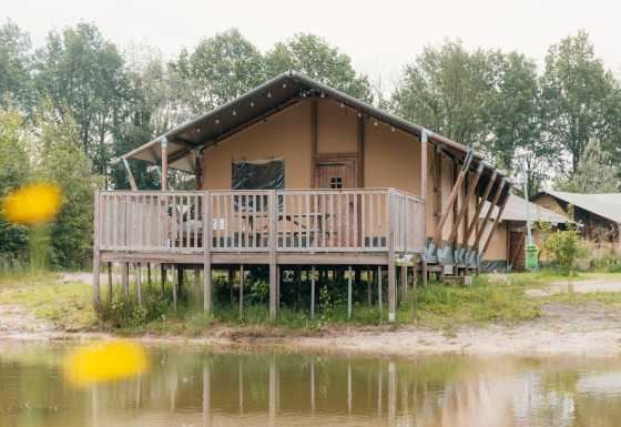 Tente safari de luxe au bord de l'eau avec terrasse en bois sur pilotis, entourée de forêt verdoyante.