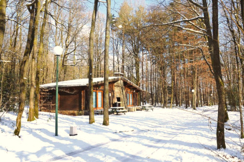 Snedækket chalet 'De Boshut' i Belgien omgivet af træer, med sollys, bænke og vinterstemning.
