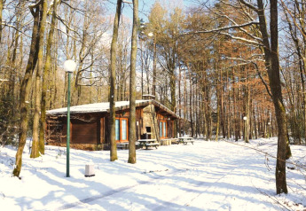 Verschneites Chalet 'De Boshut' in Belgien, umgeben von Bäumen und Picknicktischen im Winterwald.
