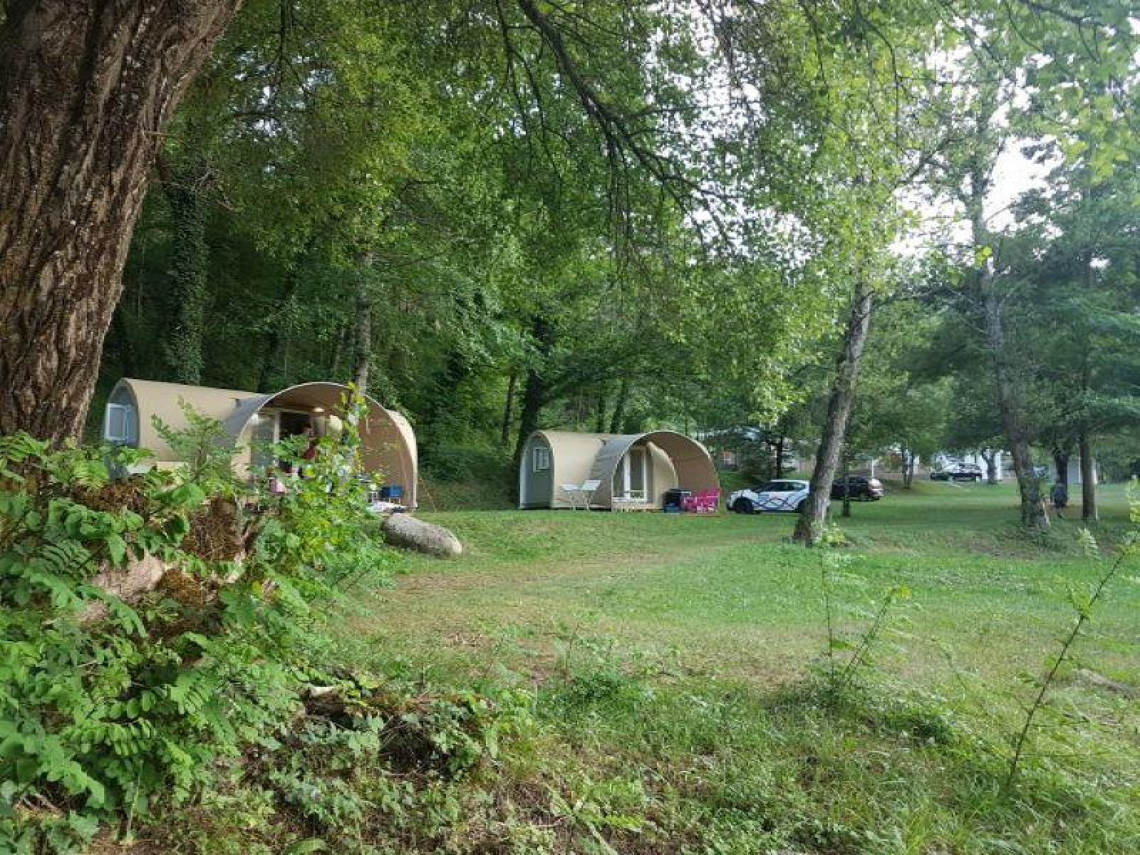 Coco Sweet-safaritenten op Flower Camping Le Pont du Tarn in Frankrijk, omgeven door groene bomen.
