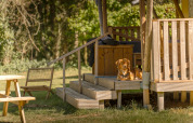 Ein Hund liegt auf der Veranda eines Safarizelts bei De Bos Escape, Gooise Heide, Niederlande, im Grünen.