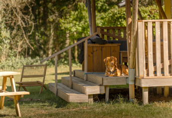Hund slapper af på verandaen til et safaritelt ved De Bos Escape, Gooise Heide, Holland, omgivet af natur.