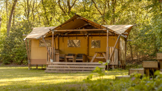 Safari-Zelt im Wald mit einer Holzterrasse und Sitzgelegenheiten im Freien, umgeben von grünen Bäumen.