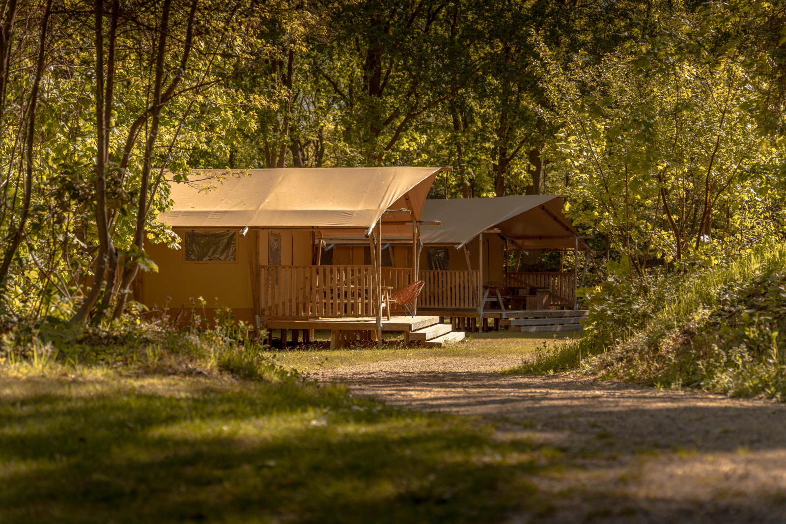 De Bos Tent