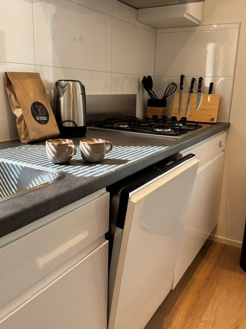 Moderne keuken bij Cannenburch Deluxe, Veluwe park de Bosgraaf, Nederland, met kopjes en keukengerei.