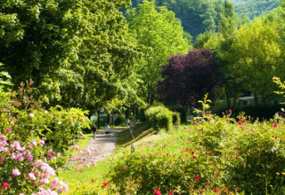 Sentiero verdeggiante con persone, fiori e alberi a Seasonova Camping Les Rives d'Olt et Aubrac, Francia.
