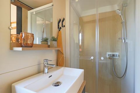 Bagno moderno in tiny house con doccia in vetro, lavandino e mensola con piante e bicchieri colorati.