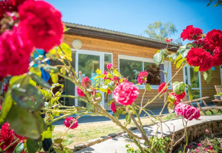 Photo lumineuse d’un chalet en bois avec de grandes fenêtres et des roses rouges devant au Camping Paradis Les Chanterelles.