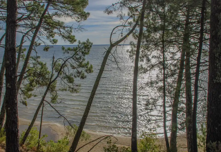 Vue sur le lac à travers les pins au Seasonova Camping Le Lac de Cazaux en Occitanie, France.