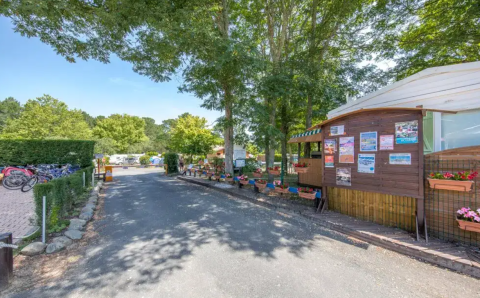 Eingang von Seasonova Camping Le Lac de Cazaux in Occitanie, Frankreich, mit Bäumen und Fahrrädern.