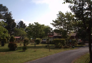 Vue du parc de vacances avec pelouses, arbres et chalets au Seasonova Camping Le Lac de Cazaux en Occitanie, France.