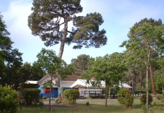 Parc de vacances avec cabanes, grands arbres et verdure au Seasonova Camping Le Lac de Cazaux, Occitanie, France.