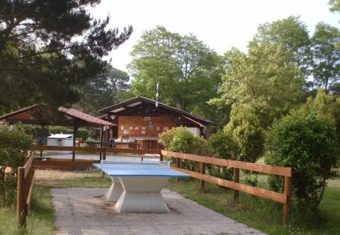 Table de ping-pong extérieure et bâtiments en bois entourés d’arbres au Seasonova Camping Le Lac de Cazaux.