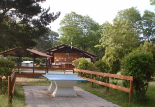 Tischtennisplatte im Freien vor Holzhütten inmitten grüner Bäume im Seasonova Camping Le Lac de Cazaux.