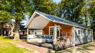Moderne houten chalet op camping de Witte Berg in Overijssel, Nederland, omringd door bomen in de zon.