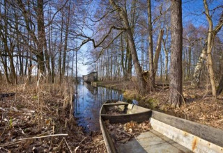 Boot aan een stille gracht tussen bomen dichtbij Bungalow «50 qm 5 Pers» in Duitsland.
