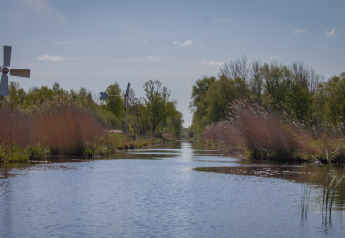 View of waterway with reeds and windmills at Chalet lodge, Holiday park Eigen Wijze, Netherlands.