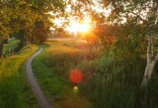 Sonnenuntergang über einem Pfad im Grünen bei Groupaccommodation 'de Blokhut' im Park Eigen Wijze, Niederlande.