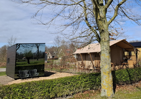 Tiny house met spiegelgevel en een hut in Holiday park Eigen Wijze, Nederland, omringd door natuur.