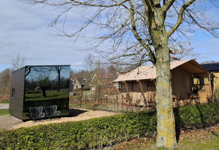 Tiny house met spiegelgevel en een hut in Holiday park Eigen Wijze, Nederland, omringd door natuur.