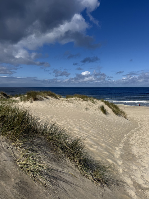 Strandduinen met gras en zee onder een deels bewolkte hemel bij EuroParcs Texel, Duinvilla.