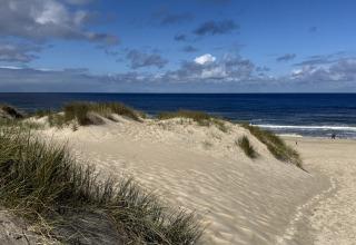Sanddünen mit Gras am Strand und Meer unter teils bewölktem Himmel bei EuroParcs Texel, Duinvilla.