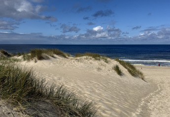 Sanddünen mit Gras am Strand und Meer unter teils bewölktem Himmel bei EuroParcs Texel, Duinvilla.