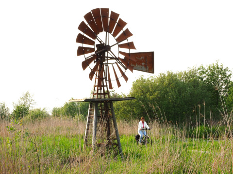 Eine Person fährt mit dem Fahrrad an einer alten Windmühle im Gras bei der Group lodge, Eigen Wijze, Niederlande.