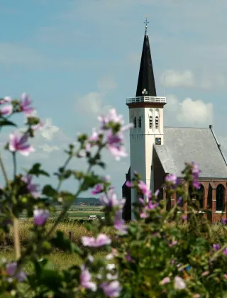 Iglesia histórica de Den Hoorn, en Holanda Septentrional, Países Bajos, entre flores silvestres al frente.