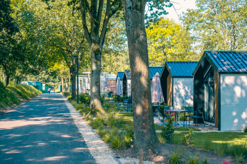A peaceful lodge featuring small cabins along a tree-lined road, surrounded by greenery and sunlight.