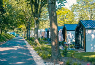 A peaceful lodge featuring small cabins along a tree-lined road, surrounded by greenery and sunlight.