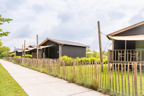 Row of black wooden Tiny House XL cabins with fences and grassy lawns at De Kremmer in the Netherlands.