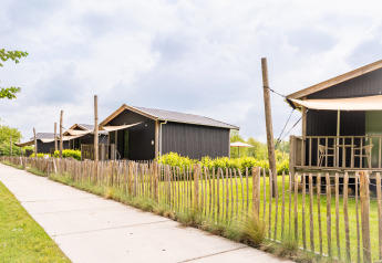 Reihe schwarzer Tiny Houses mit Holzveranda und Zaun im Grünen bei De Kremmer, Niederlande.