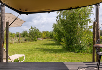 Vue depuis une tiny house à De Kremmer, Pays-Bas, avec pelouse, arbres et mobilier d'extérieur.