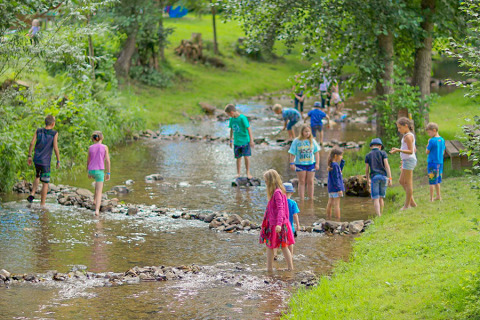 Niños juegan y exploran un arroyo poco profundo rodeado de naturaleza en Camping Paradis Le Giessen, Francia.